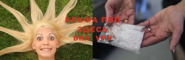 индика Абаза