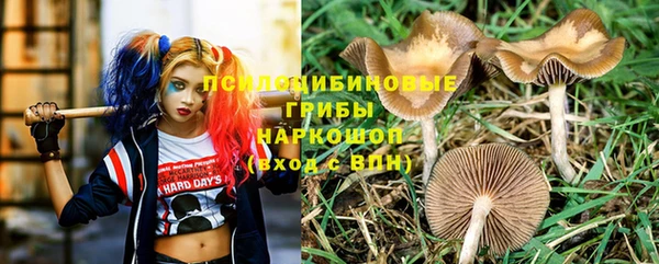 каннабис Абинск