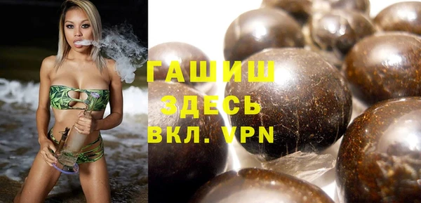 индика Абаза