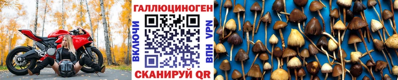 Псилоцибиновые грибы прущие грибы хочу наркоту Гдов