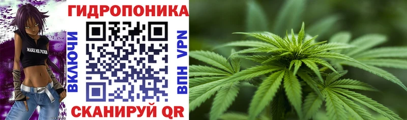 Бошки марихуана конопля  где купить   Гдов 